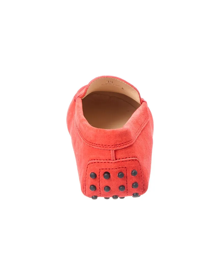 TODs Gommini Suede Loafer
