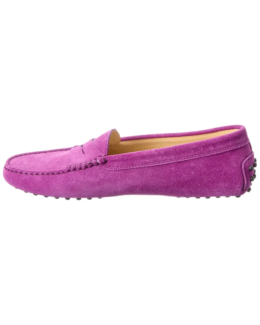 TODs Gommino Suede Loafer