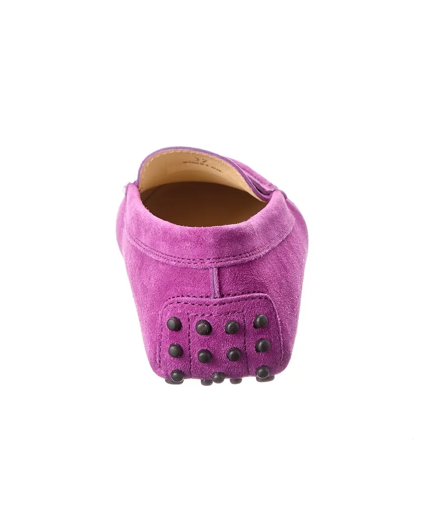 TODs Gommino Suede Loafer